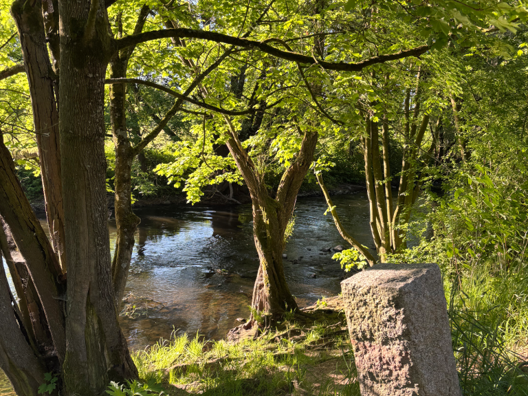 Impressionen aus Leichlingen