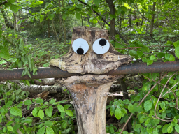 Skurile Natur 2