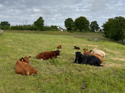 Impressionen aus Leichlingen