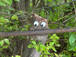 Skurile Natur 1
