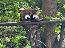 Skurile Natur 3